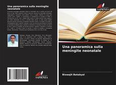 Capa do livro de Una panoramica sulla meningite neonatale 