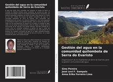 Gestión del agua en la comunidad quilombola de Serra do Evaristo的封面