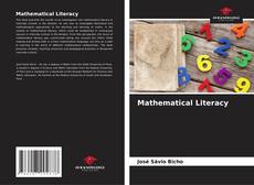 Mathematical Literacy kitap kapağı