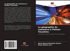 Couverture de La géographie du commerce à Palmas-Tocantins