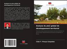 Buchcover von Analyse du plan global de développement territorial