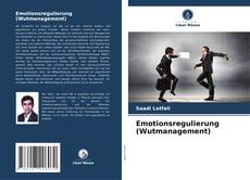 Capa do livro de Emotionsregulierung (Wutmanagement) 