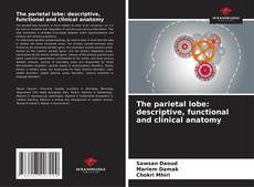 Couverture de The parietal lobe: descriptive, functional and clinical anatomy