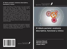 Couverture de El lóbulo parietal: anatomía descriptiva, funcional y clínica