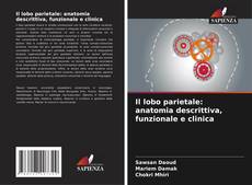 Il lobo parietale: anatomia descrittiva, funzionale e clinica kitap kapağı