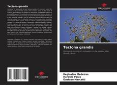 Tectona grandis kitap kapağı