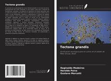 Borítókép a  Tectona grandis - hoz