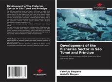 Development of the Fisheries Sector in São Tomé and Príncipe kitap kapağı