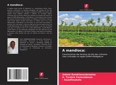 Buchcover von A mandioca: