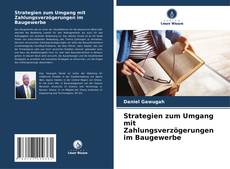 Strategien zum Umgang mit Zahlungsverzögerungen im Baugewerbe的封面