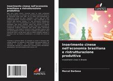 Обложка Inserimento cinese nell'economia brasiliana e ristrutturazione produttiva