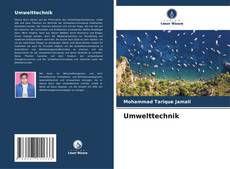 Umwelttechnik的封面