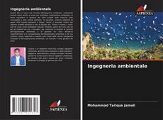Capa do livro de Ingegneria ambientale 