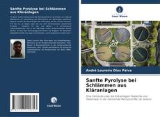 Capa do livro de Sanfte Pyrolyse bei Schlämmen aus Kläranlagen 
