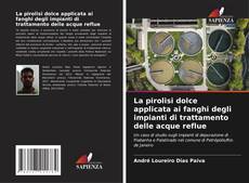 Capa do livro de La pirolisi dolce applicata ai fanghi degli impianti di trattamento delle acque reflue 