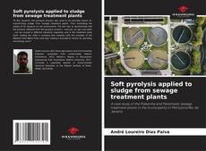 Capa do livro de Soft pyrolysis applied to sludge from sewage treatment plants 