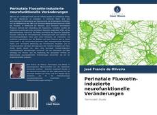 Perinatale Fluoxetin-induzierte neurofunktionelle Veränderungen的封面