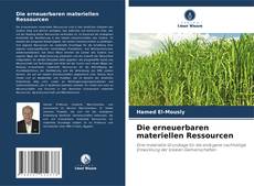 Die erneuerbaren materiellen Ressourcen的封面