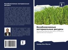 Bookcover of Возобновляемые материальные ресурсы