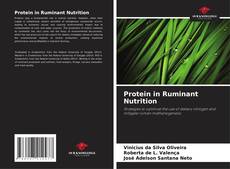Portada del libro de Protein in Ruminant Nutrition