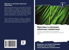 Bookcover of Протеин в питании жвачных животных