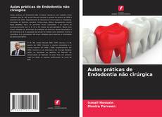 Bookcover of Aulas práticas de Endodontia não cirúrgica
