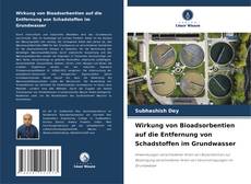 Borítókép a  Wirkung von Bioadsorbentien auf die Entfernung von Schadstoffen im Grundwasser - hoz