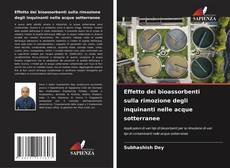 Capa do livro de Effetto dei bioassorbenti sulla rimozione degli inquinanti nelle acque sotterranee 