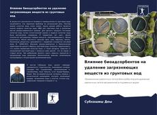 Capa do livro de Влияние биоадсорбентов на удаление загрязняющих веществ из грунтовых вод 