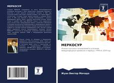 Buchcover von МЕРКОСУР