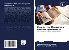 Bookcover of Литература Кальвино и научная грамотность