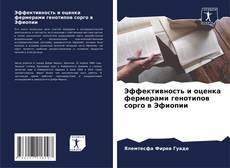 Couverture de Эффективность и оценка фермерами генотипов сорго в Эфиопии