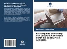 Borítókép a  Leistung und Bewertung von Sorghum-Genotypen durch die Landwirte in Äthiopien - hoz