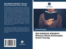 BIO-ENERGIE-PROJEKT: Mimosa Weed Renewable Green Energy的封面