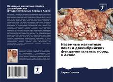 Buchcover von Наземные магнитные поиски докембрийских фундаментальных пород в Акоко