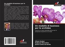 Portada del libro de Un modello di business per le orchidee