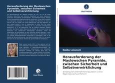 Herausforderung der Maslowschen Pyramide, zwischen Sicherheit und Selbstverwirklichung的封面