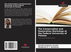 Buchcover von The Conservation and Restoration Workshop at the Federal University of Pelotas