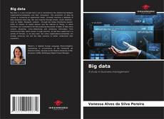Big data kitap kapağı