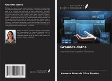 Portada del libro de Grandes datos