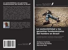 Capa do livro de La sostenibilidad y las garantías fundamentales del hombre en Brasil 