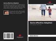 Socio-affective Adoption kitap kapağı