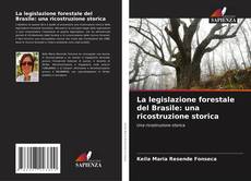 Copertina di La legislazione forestale del Brasile: una ricostruzione storica