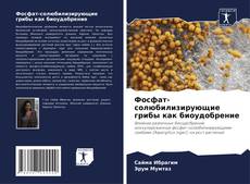 Buchcover von Фосфат-солюбилизирующие грибы как биоудобрение