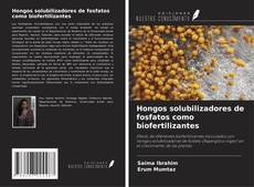 Couverture de Hongos solubilizadores de fosfatos como biofertilizantes