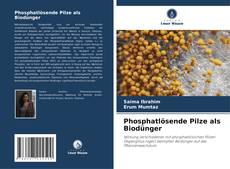 Borítókép a  Phosphatlösende Pilze als Biodünger - hoz