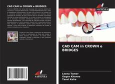 Borítókép a  CAD CAM in CROWN e BRIDGES - hoz