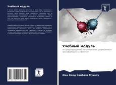 Bookcover of Учебный модуль