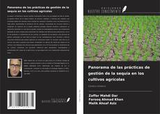 Buchcover von Panorama de las prácticas de gestión de la sequía en los cultivos agrícolas