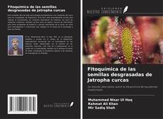 Fitoquímica de las semillas desgrasadas de Jatropha curcas kitap kapağı